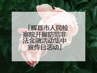 辉县市人民检察院开展防范非法金融活动集中宣传日活动