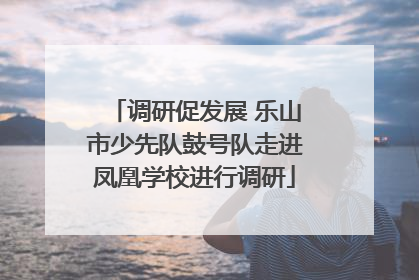 调研促发展 乐山市少先队鼓号队走进凤凰学校进行调研