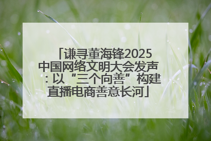 谦寻董海锋2025中国网络文明大会发声：以“三个向善”构建直播电商善意长河