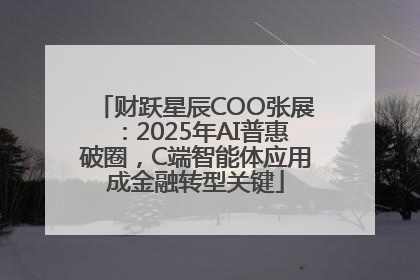 财跃星辰COO张展：2025年AI普惠破圈，C端智能体应用成金融转型关键