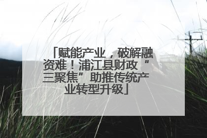 赋能产业，破解融资难！浦江县财政“三聚焦”助推传统产业转型升级