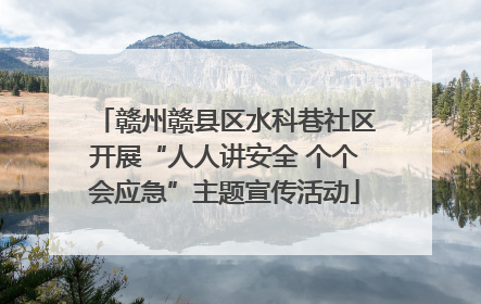 赣州赣县区水科巷社区开展“人人讲安全 个个会应急”主题宣传活动