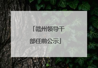 赣州领导干部任前公示