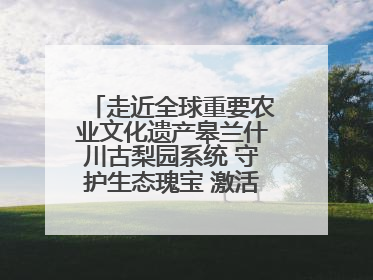走近全球重要农业文化遗产皋兰什川古梨园系统 守护生态瑰宝 激活发展动能