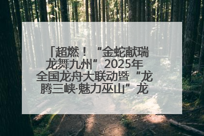 超燃！“金蛇献瑞 龙舞九州”2025年全国龙舟大联动暨“龙腾三峡·魅力巫山”龙舟邀请赛圆满落幕！