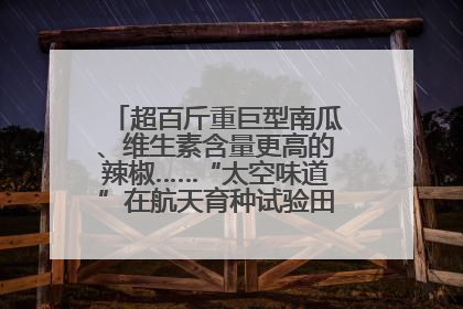 超百斤重巨型南瓜、维生素含量更高的辣椒……“太空味道”在航天育种试验田里拔节生长