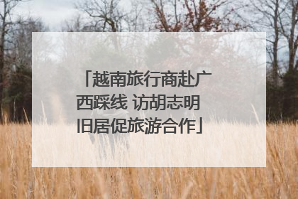 越南旅行商赴广西踩线 访胡志明旧居促旅游合作