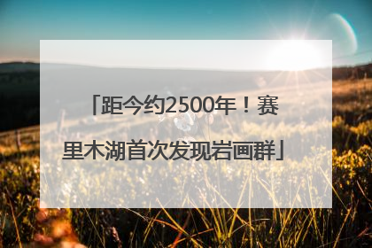 距今约2500年！赛里木湖首次发现岩画群