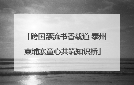 跨国漂流书香载道 泰州柬埔寨童心共筑知识桥