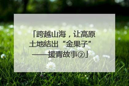 跨越山海，让高原土地结出“金果子”——援青故事②