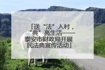 送“法”入村，“典”亮生活——泰安市财政局开展民法典宣传活动