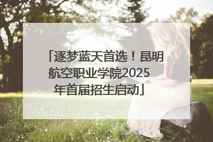 逐梦蓝天首选！昆明航空职业学院2025年首届招生启动