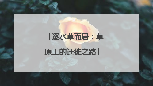 逐水草而居：草原上的迁徙之路