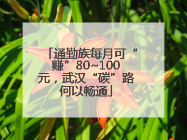 通勤族每月可“赚”80~100元，武汉“碳”路何以畅通