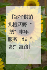 邹平供销扎根沃野“绣”丰年 服务一线“织”富路