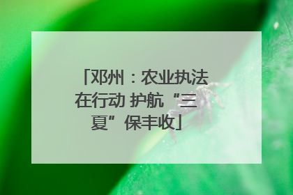 邓州：农业执法在行动 护航“三夏”保丰收