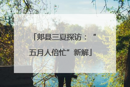 郏县三夏探访：“五月人倍忙”新解