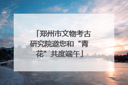 郑州市文物考古研究院邀您和“青花”共度端午