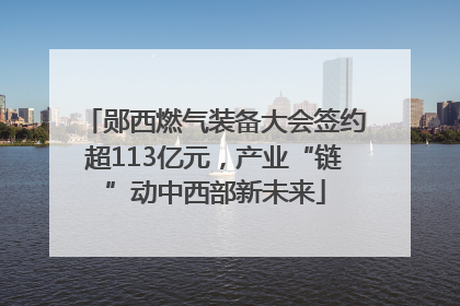 郧西燃气装备大会签约超113亿元，产业“链”动中西部新未来