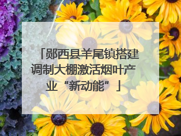 郧西县羊尾镇搭建调制大棚激活烟叶产业“新动能”