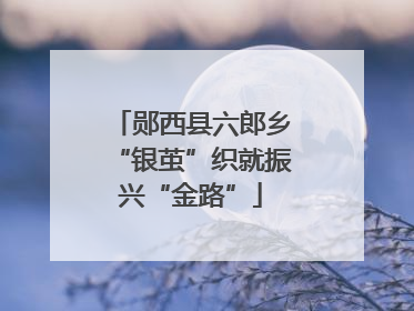 郧西县六郎乡“银茧”织就振兴“金路”