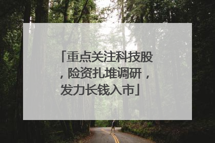 重点关注科技股，险资扎堆调研，发力长钱入市