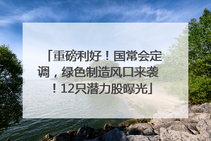 重磅利好！国常会定调，绿色制造风口来袭！12只潜力股曝光