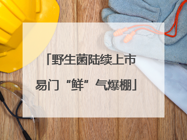野生菌陆续上市 易门“鲜”气爆棚