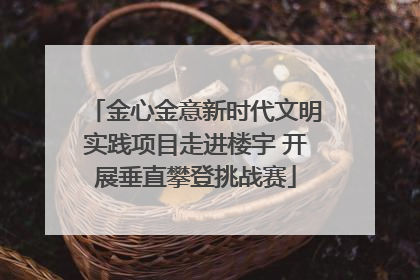 金心金意新时代文明实践项目走进楼宇 开展垂直攀登挑战赛