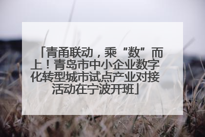 青甬联动，乘“数”而上！青岛市中小企业数字化转型城市试点产业对接活动在宁波开班