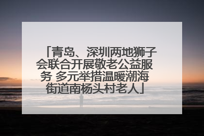 青岛、深圳两地狮子会联合开展敬老公益服务 多元举措温暖潮海街道南杨头村老人