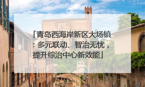 青岛西海岸新区大场镇：多元联动、智治无忧，提升综治中心新效能