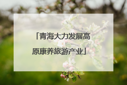 青海大力发展高原康养旅游产业