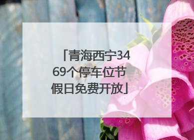青海西宁3469个停车位节假日免费开放