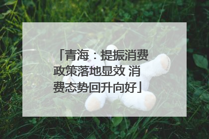 青海：提振消费政策落地显效 消费态势回升向好