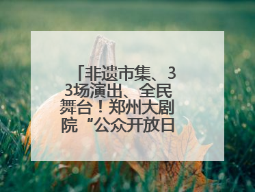 非遗市集、33场演出、全民舞台！郑州大剧院“公众开放日艺术节”举行