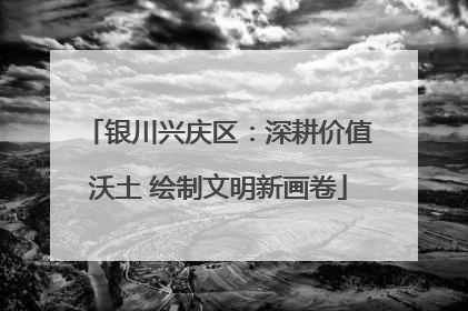 银川兴庆区：深耕价值沃土 绘制文明新画卷