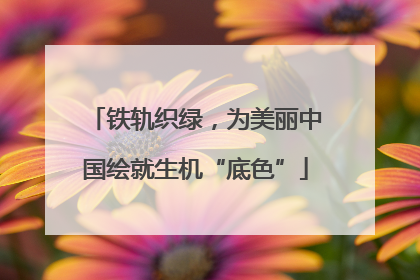 铁轨织绿，为美丽中国绘就生机“底色”