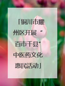 铜川市耀州区开展“百市千县”中医药文化惠民活动