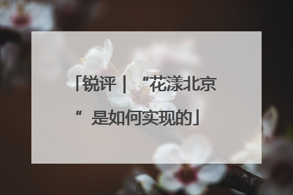 锐评｜“花漾北京”是如何实现的