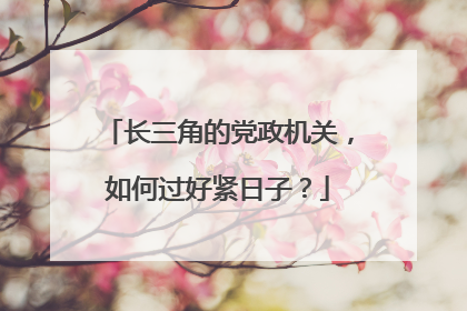 长三角的党政机关，如何过好紧日子？
