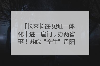 长来长往·见证一体化｜进一扇门，办两省事！苏皖“孪生”丹阳如何做到的？