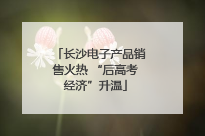 长沙电子产品销售火热 “后高考经济”升温
