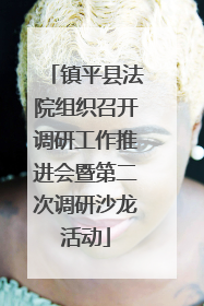 镇平县法院组织召开调研工作推进会暨第二次调研沙龙活动