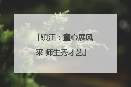 镇江：童心展风采 师生秀才艺