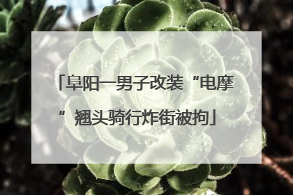 阜阳一男子改装“电摩”翘头骑行炸街被拘