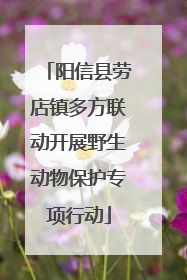 阳信县劳店镇多方联动开展野生动物保护专项行动