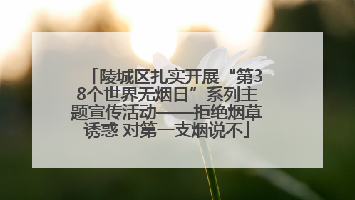 陵城区扎实开展“第38个世界无烟日”系列主题宣传活动——拒绝烟草诱惑 对第一支烟说不