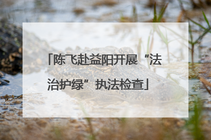 陈飞赴益阳开展“法治护绿”执法检查