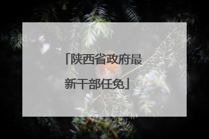 陕西省政府最新干部任免